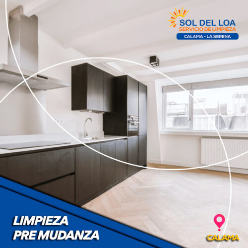 Servicio de limpieza - limpieza pre mudanza en Calama