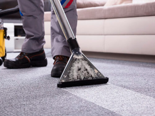 Servicio de limpieza profesional de alfombras